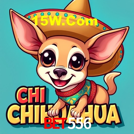 Experiência VIP Bet556